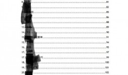 娱乐圈花边八卦爆料视频,花边八卦视频大揭秘！